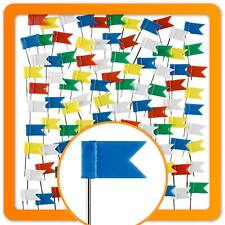 100 Markierungsfahnen